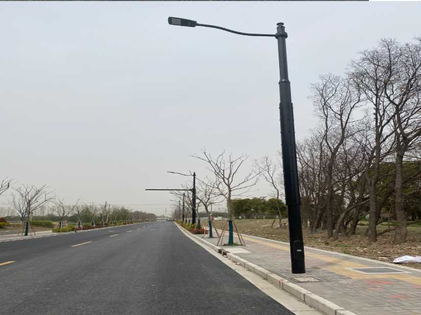 左贡县上海综合杆 太阳能路灯工程